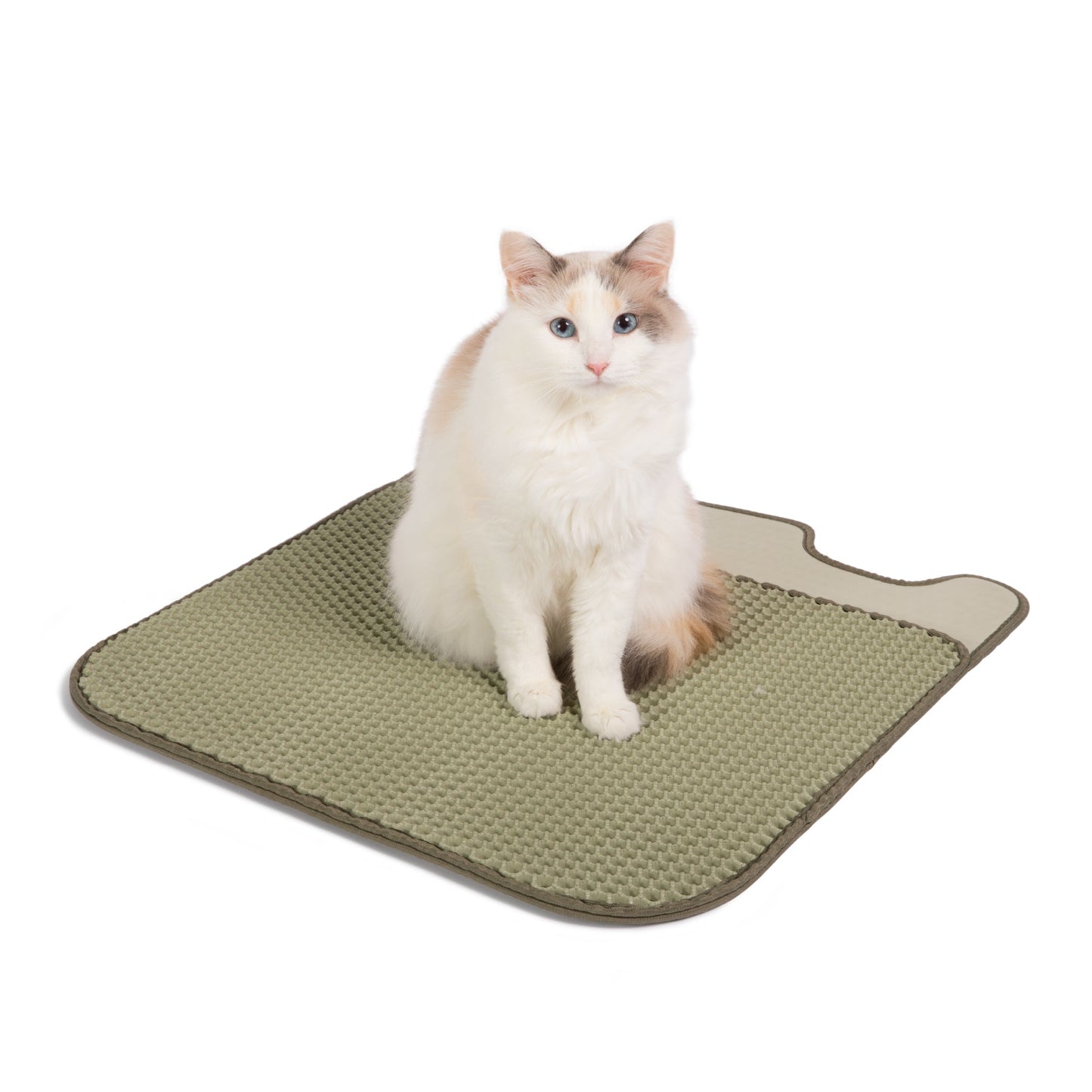 Color - matched Litter Mat - Casa Leo