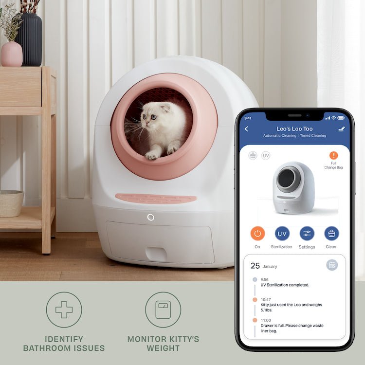 Leo's Loo Too Essentials Starter Pack - Casa Leo