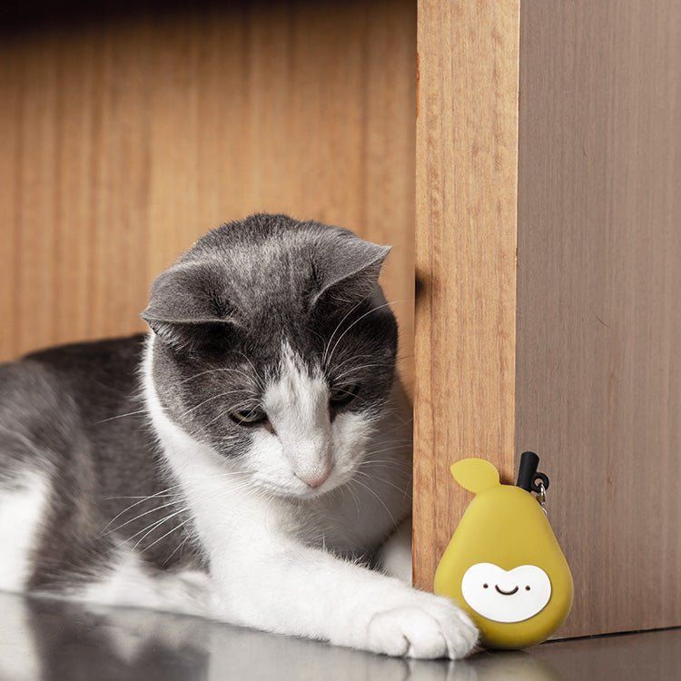 Rechargeable Laser Toy - Pear - Casa Leo