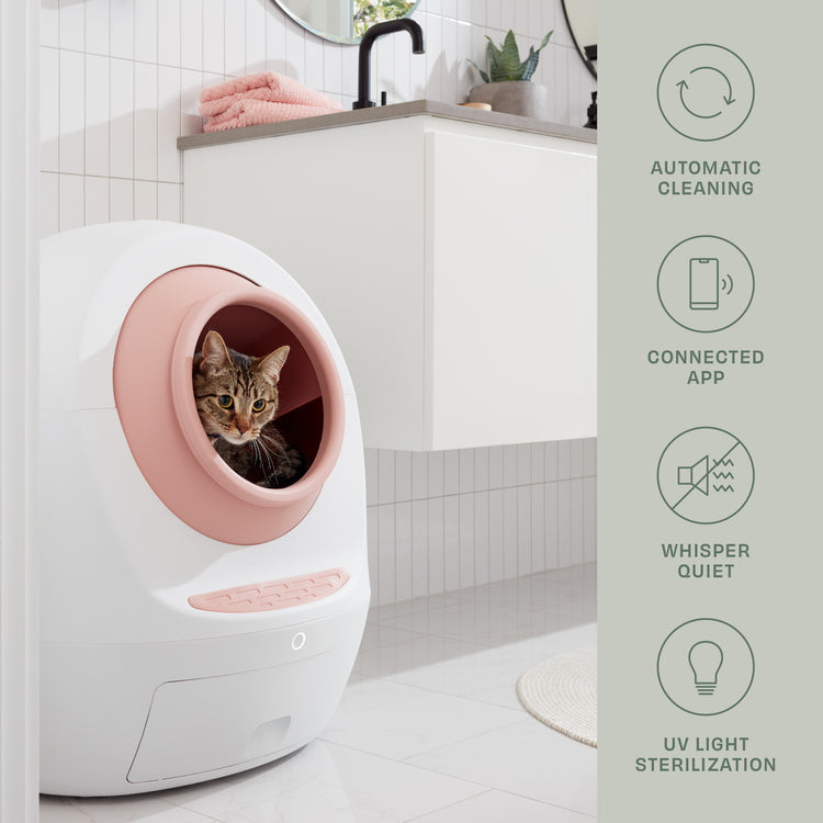 Litterloo automated litter box best sale