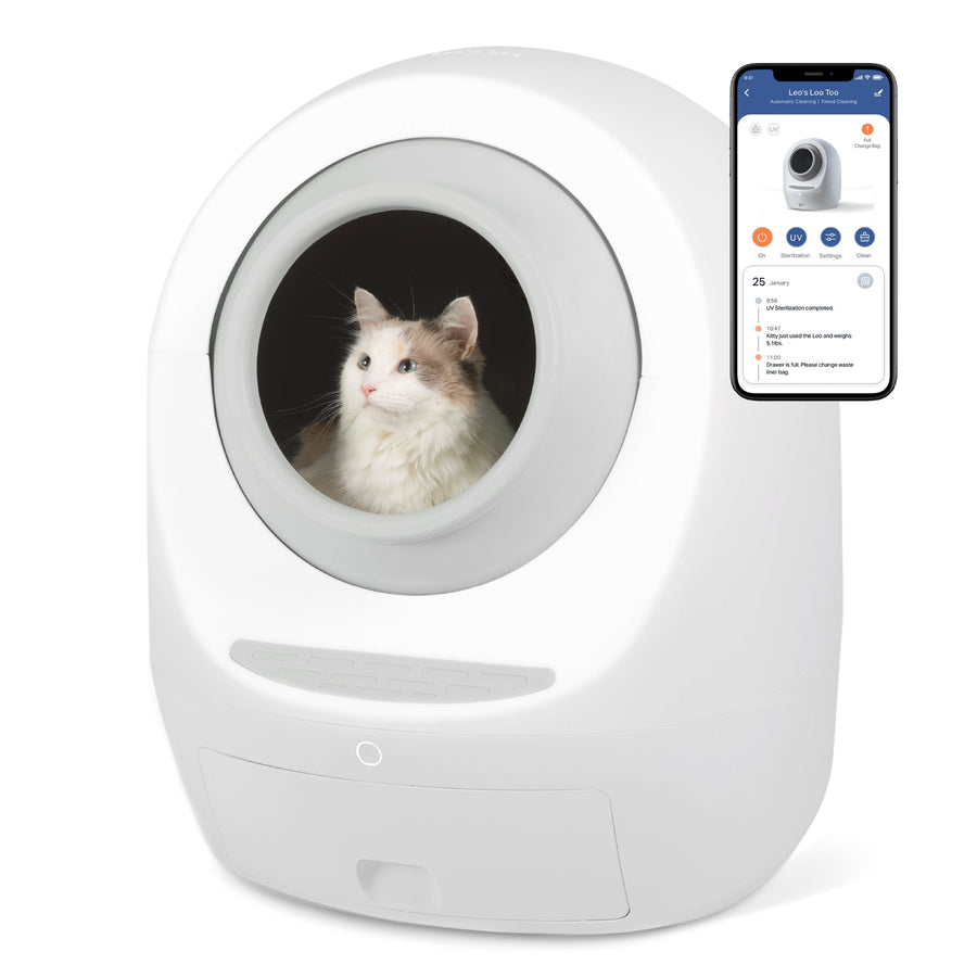 By Multiples & Save Up to $300 OFF at Checkout - Casa Leo