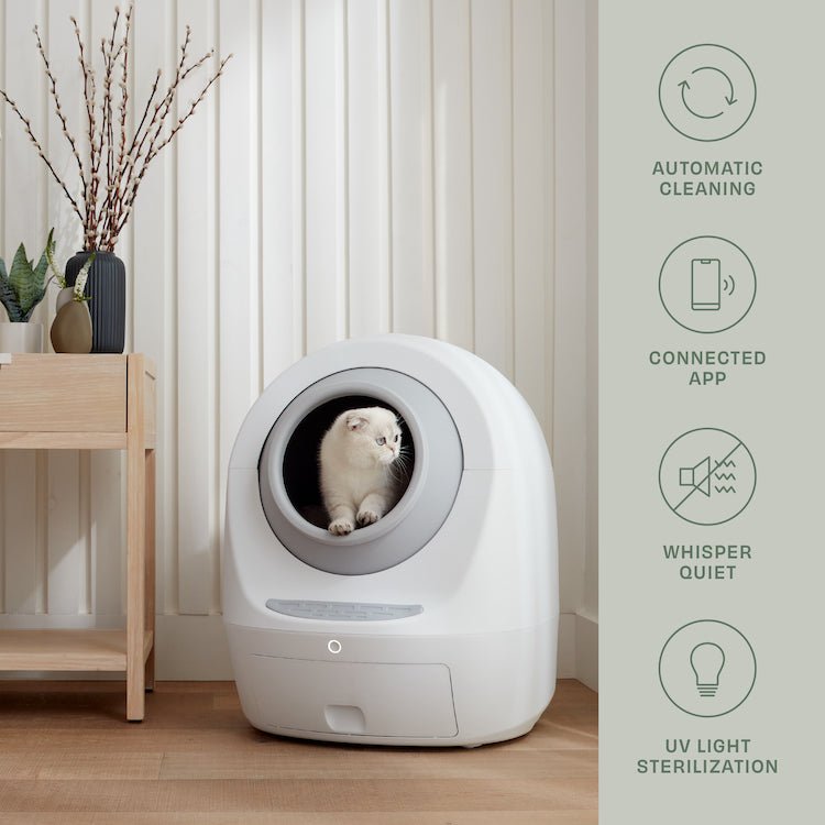 By Multiples & Save Up to $300 OFF at Checkout - Casa Leo