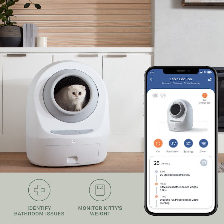 By Multiples & Save Up to $300 OFF at Checkout - Casa Leo