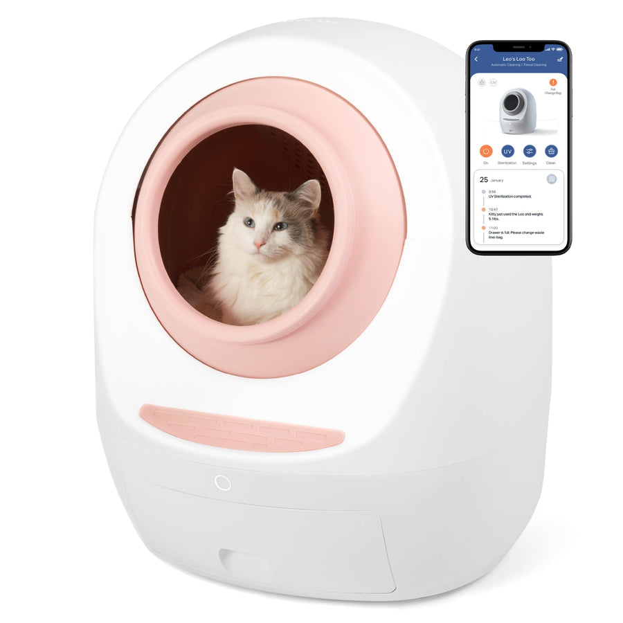 By Multiples & Save Up to $300 OFF at Checkout - Casa Leo