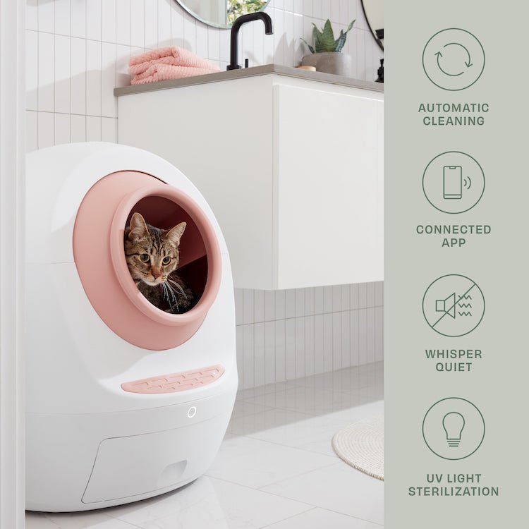 By Multiples & Save Up to $300 OFF at Checkout - Casa Leo