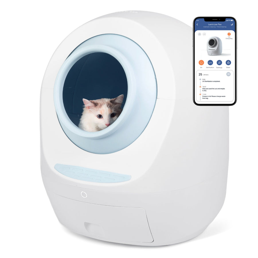 By Multiples & Save Up to $300 OFF at Checkout - Casa Leo