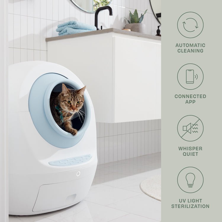 By Multiples & Save Up to $300 OFF at Checkout - Casa Leo