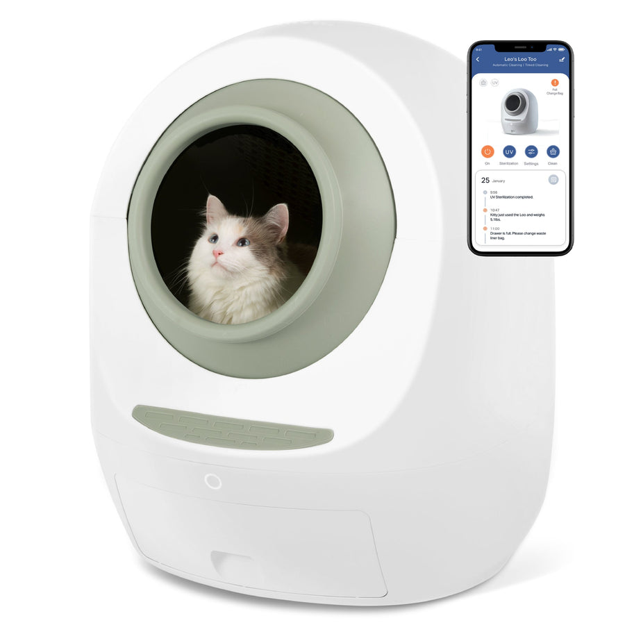 By Multiples & Save Up to $300 OFF at Checkout - Casa Leo