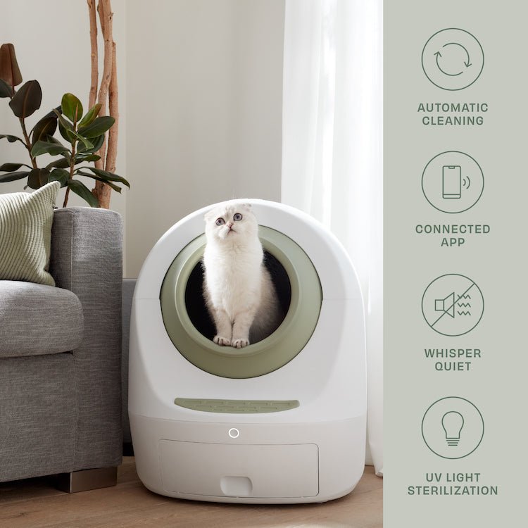 By Multiples & Save Up to $300 OFF at Checkout - Casa Leo