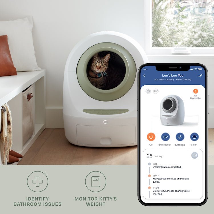 By Multiples & Save Up to $300 OFF at Checkout - Casa Leo