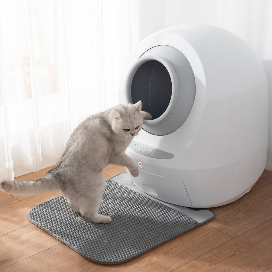 Color - matched Litter Mat - Casa Leo