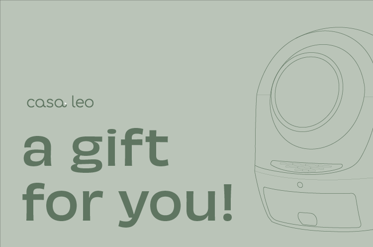 Gift Card - Casa Leo
