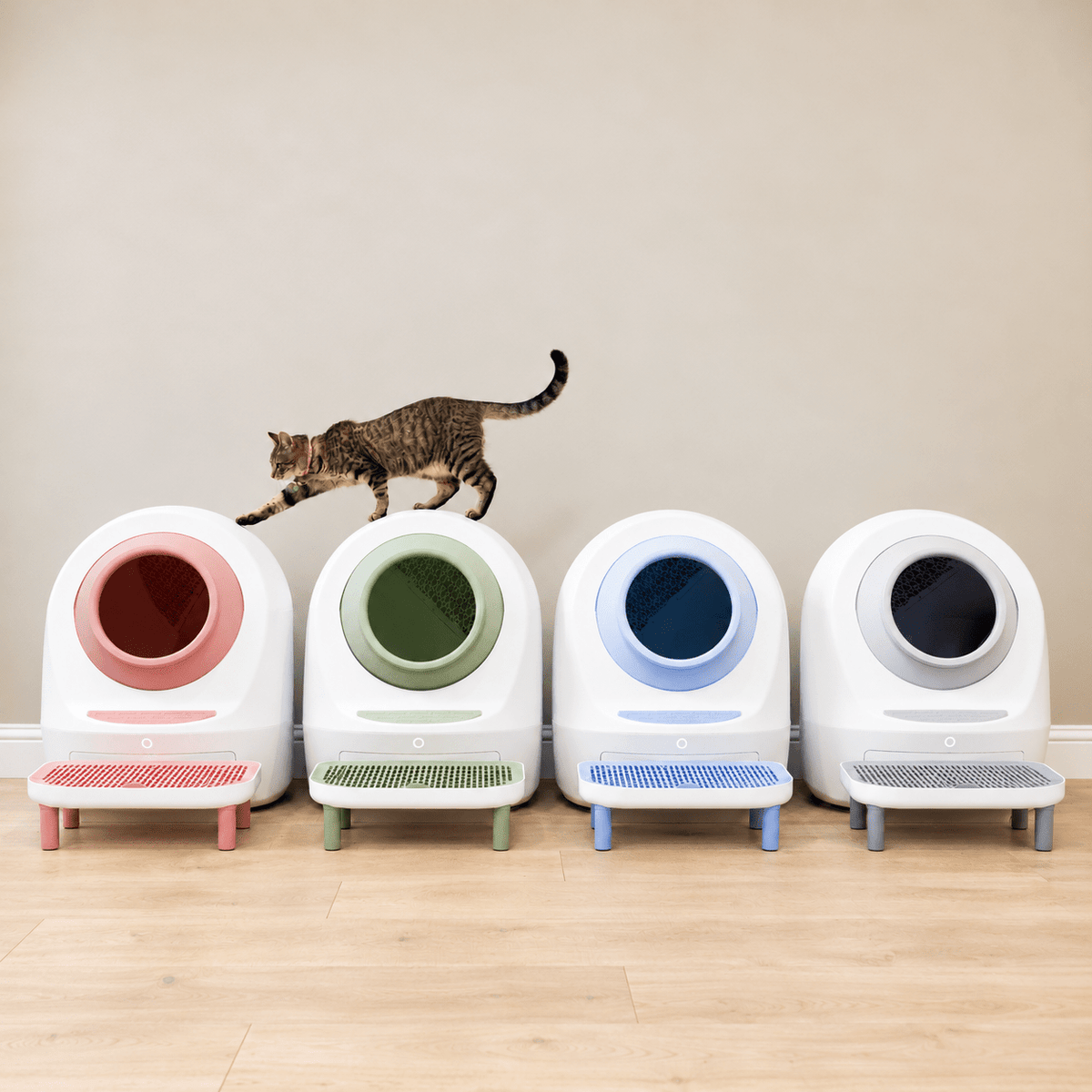 New Item!!! Custom Kitty Step for Self Cleaning Automatic Litter Box's - Casa Leo