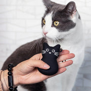 Rechargeable Laser Toy - Kitty - Casa Leo