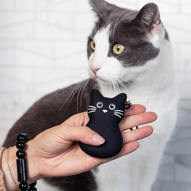 Rechargeable Laser Toy - Kitty - Casa Leo