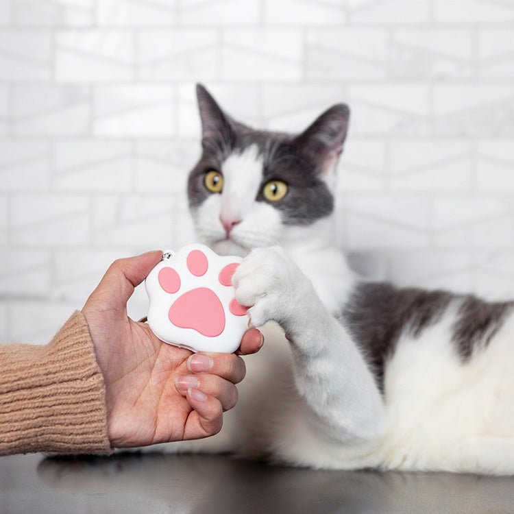 Rechargeable Laser Toy - Paw - Casa Leo